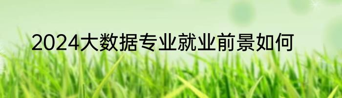 2024大数据专业就业前景如何