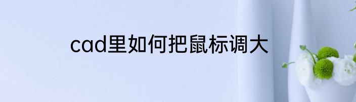 cad里如何把鼠标调大