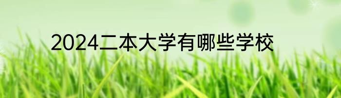 2024二本大学有哪些学校
