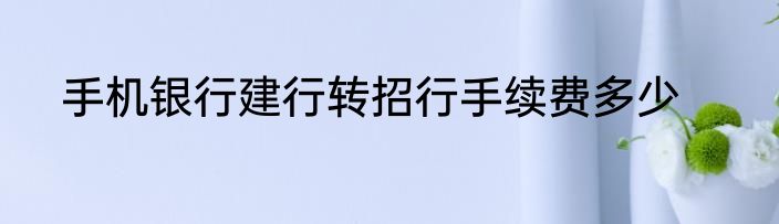 手机银行建行转招行手续费多少