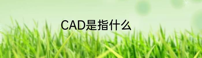 CAD是指什么