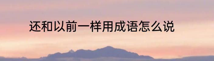 还和以前一样用成语怎么说