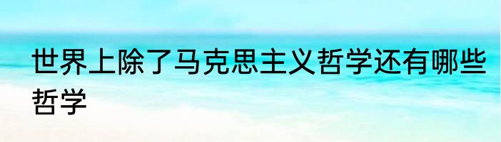 世界上除了马克思主义哲学还有哪些哲学