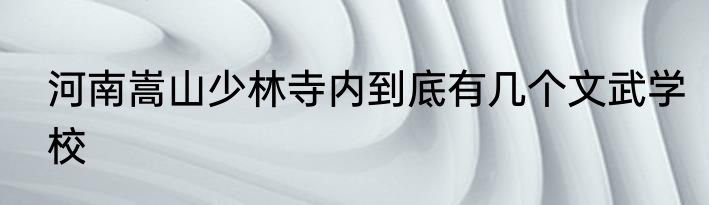 河南嵩山少林寺内到底有几个文武学校