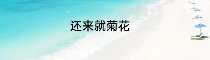 还来就菊花