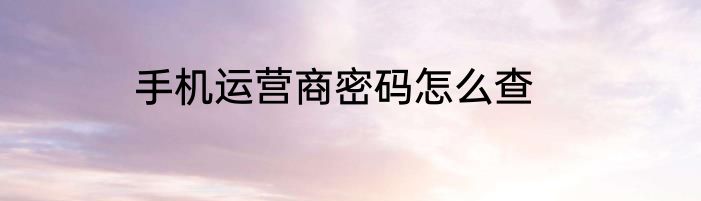 手机运营商密码怎么查