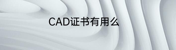 CAD证书有用么