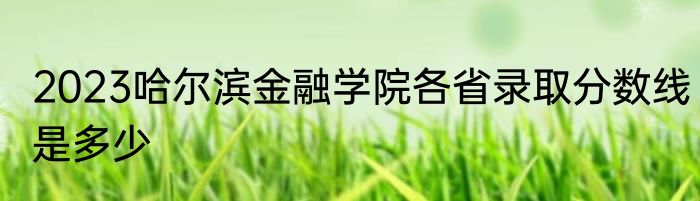 2023哈尔滨金融学院各省录取分数线是多少