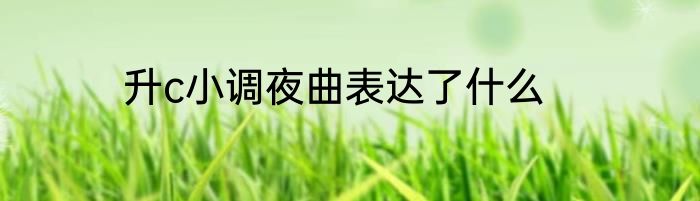 升c小调夜曲表达了什么