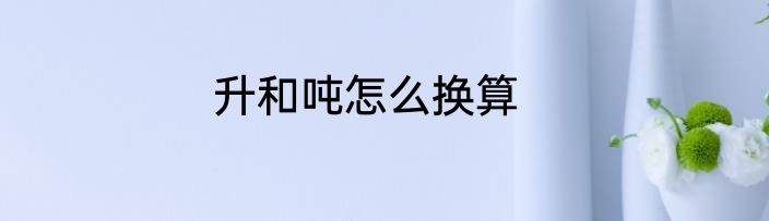 升和吨怎么换算