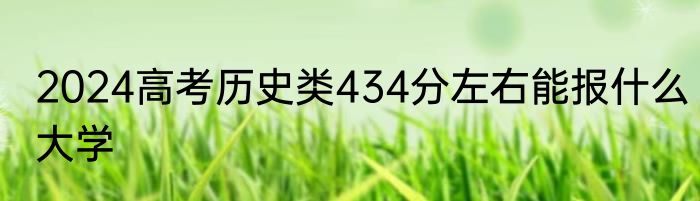 2024高考历史类434分左右能报什么大学