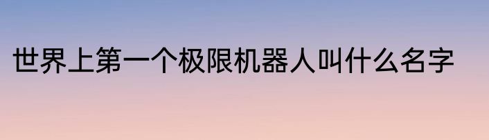 世界上第一个极限机器人叫什么名字