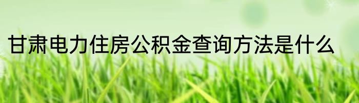 甘肃电力住房公积金查询方法是什么