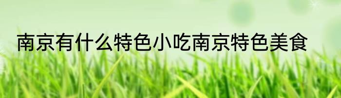 南京有什么特色小吃南京特色美食