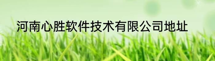 河南心胜软件技术有限公司地址