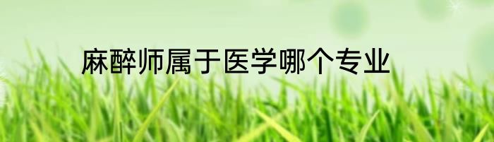 麻醉师属于医学哪个专业