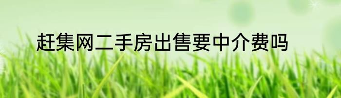 赶集网二手房出售要中介费吗