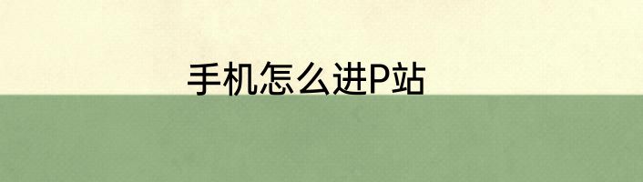 手机怎么进P站