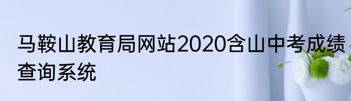 马鞍山教育局网站2020含山中考成绩查询系统