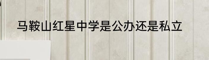 马鞍山红星中学是公办还是私立