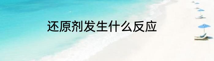 还原剂发生什么反应