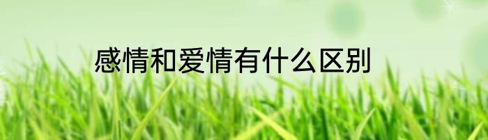感情和爱情有什么区别
