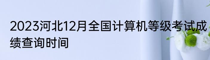 2023河北12月全国计算机等级考试成绩查询时间