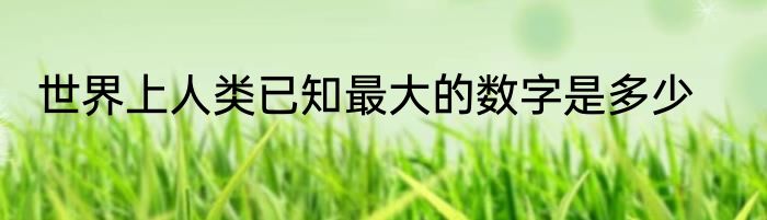 世界上人类已知最大的数字是多少