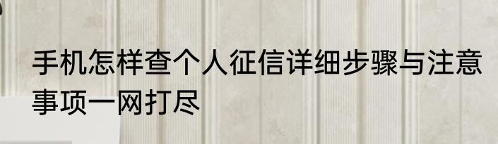 手机怎样查个人征信详细步骤与注意事项一网打尽