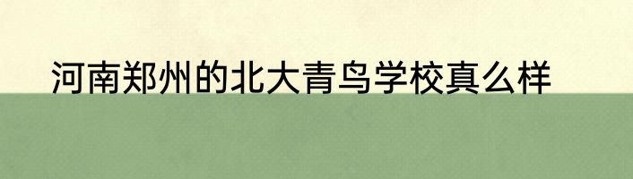 河南郑州的北大青鸟学校真么样