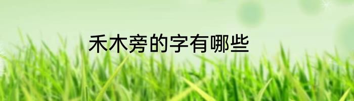 禾木旁的字有哪些