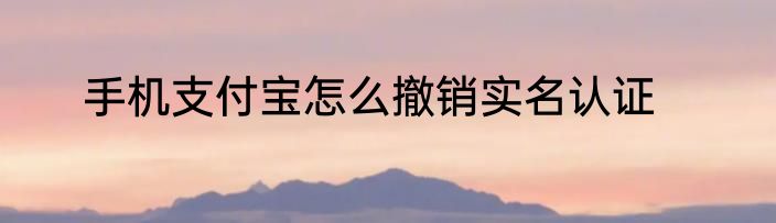 手机支付宝怎么撤销实名认证
