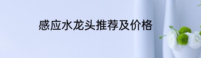 感应水龙头推荐及价格