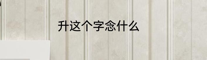 升这个字念什么
