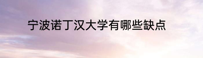 宁波诺丁汉大学有哪些缺点