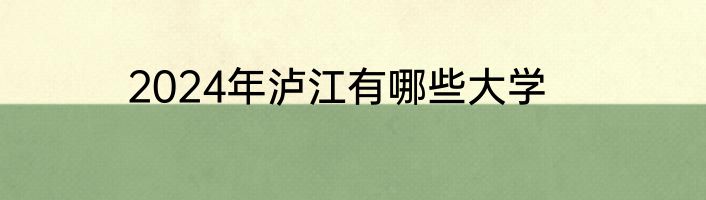 2024年泸江有哪些大学