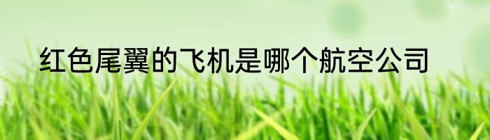 红色尾翼的飞机是哪个航空公司