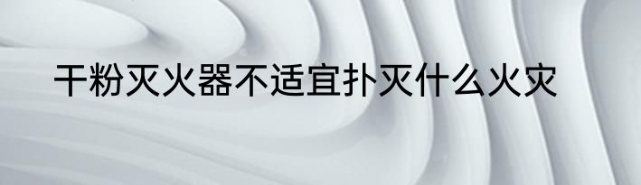 干粉灭火器不适宜扑灭什么火灾
