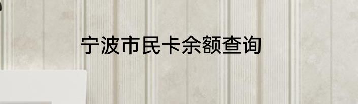 宁波市民卡余额查询