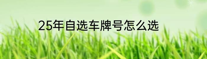 25年自选车牌号怎么选