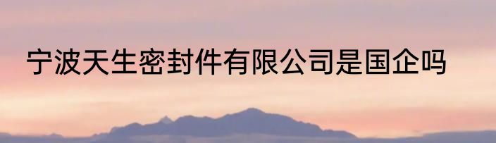 宁波天生密封件有限公司是国企吗