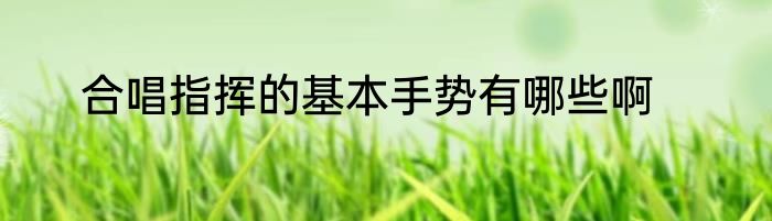 合唱指挥的基本手势有哪些啊