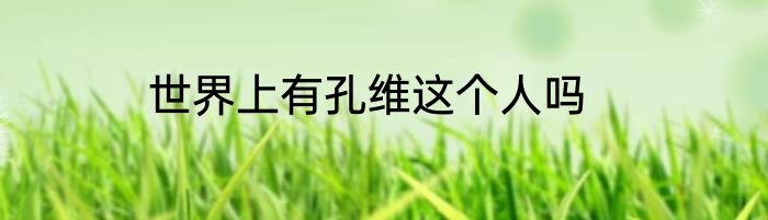 世界上有孔维这个人吗