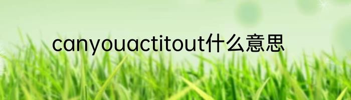 canyouactitout什么意思