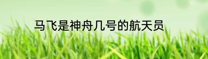 马飞是神舟几号的航天员