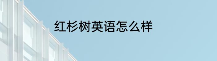 红杉树英语怎么样