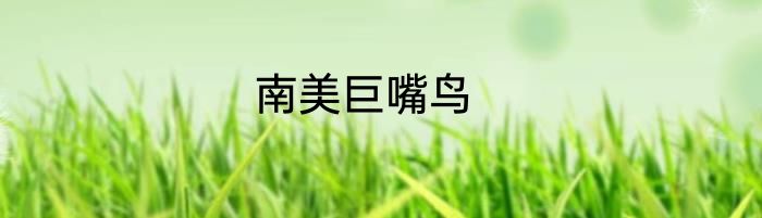 南美巨嘴鸟