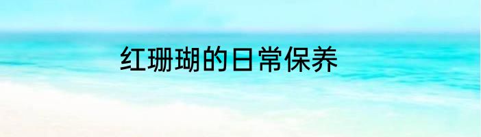 红珊瑚的日常保养