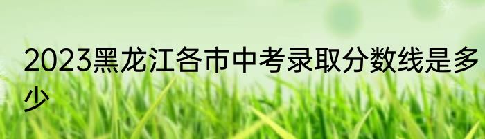 2023黑龙江各市中考录取分数线是多少