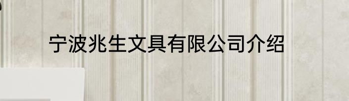 宁波兆生文具有限公司介绍